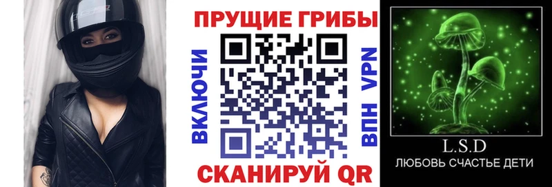 Галлюциногенные грибы Psilocybe  Купить где  Новосокольники 