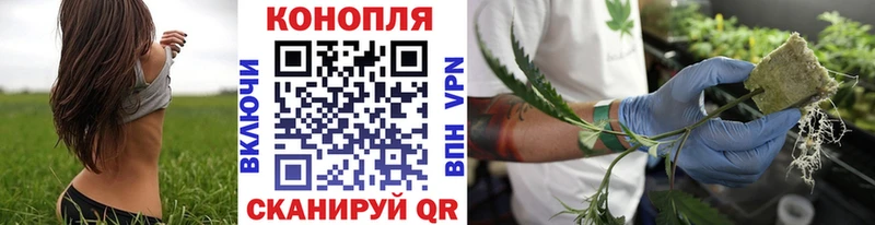 Бошки марихуана тримм  Купить закладки  Новосокольники 